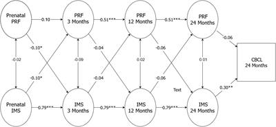 Parental relationship satisfaction, reflective functioning, and toddler behavioral problems: A longitudinal study from pregnancy to 2 years postpartum